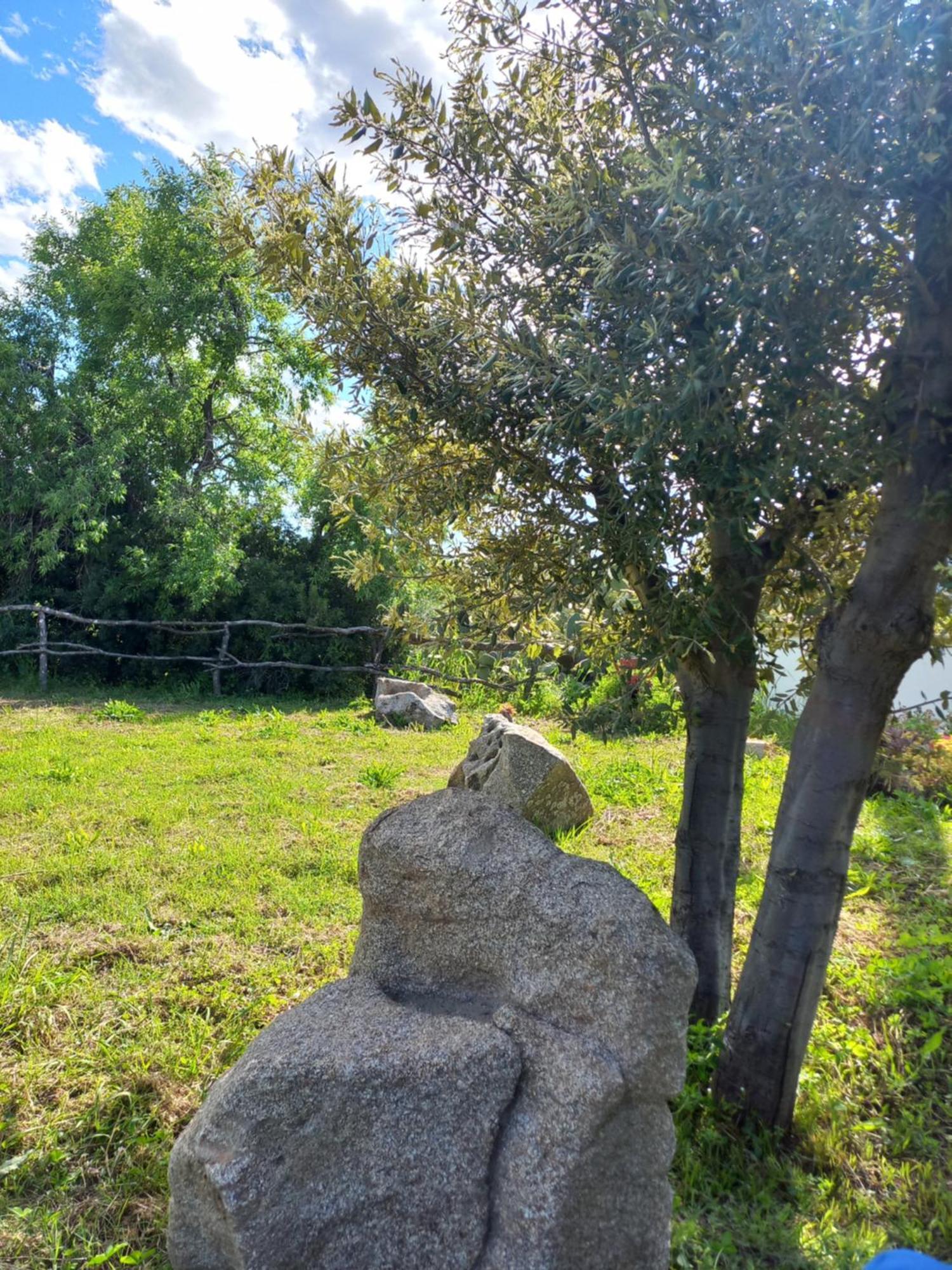 Agriturismo B&B Mares E Montes De Marrante Синискола Екстериор снимка