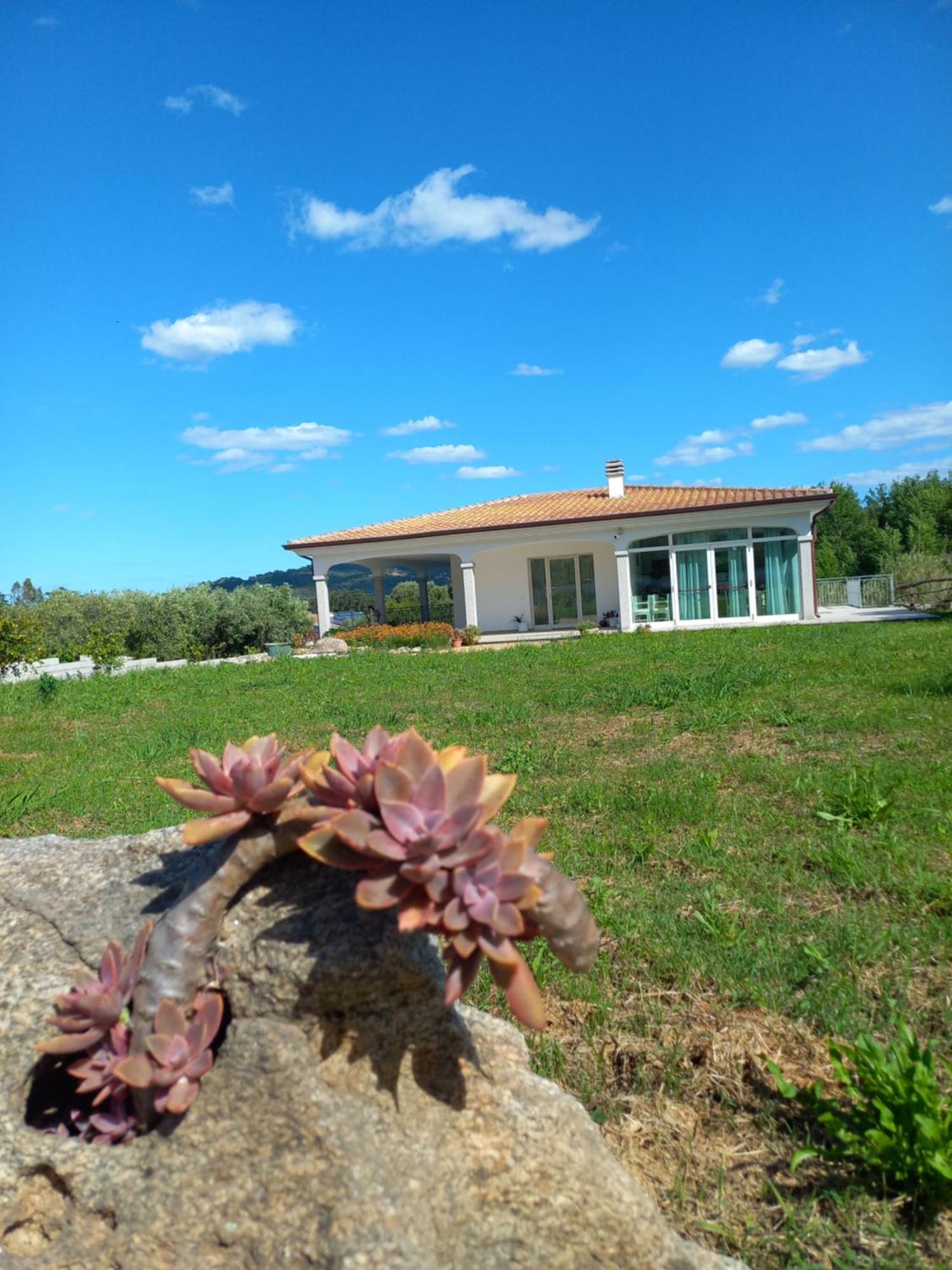 Agriturismo B&B Mares E Montes De Marrante Синискола Екстериор снимка