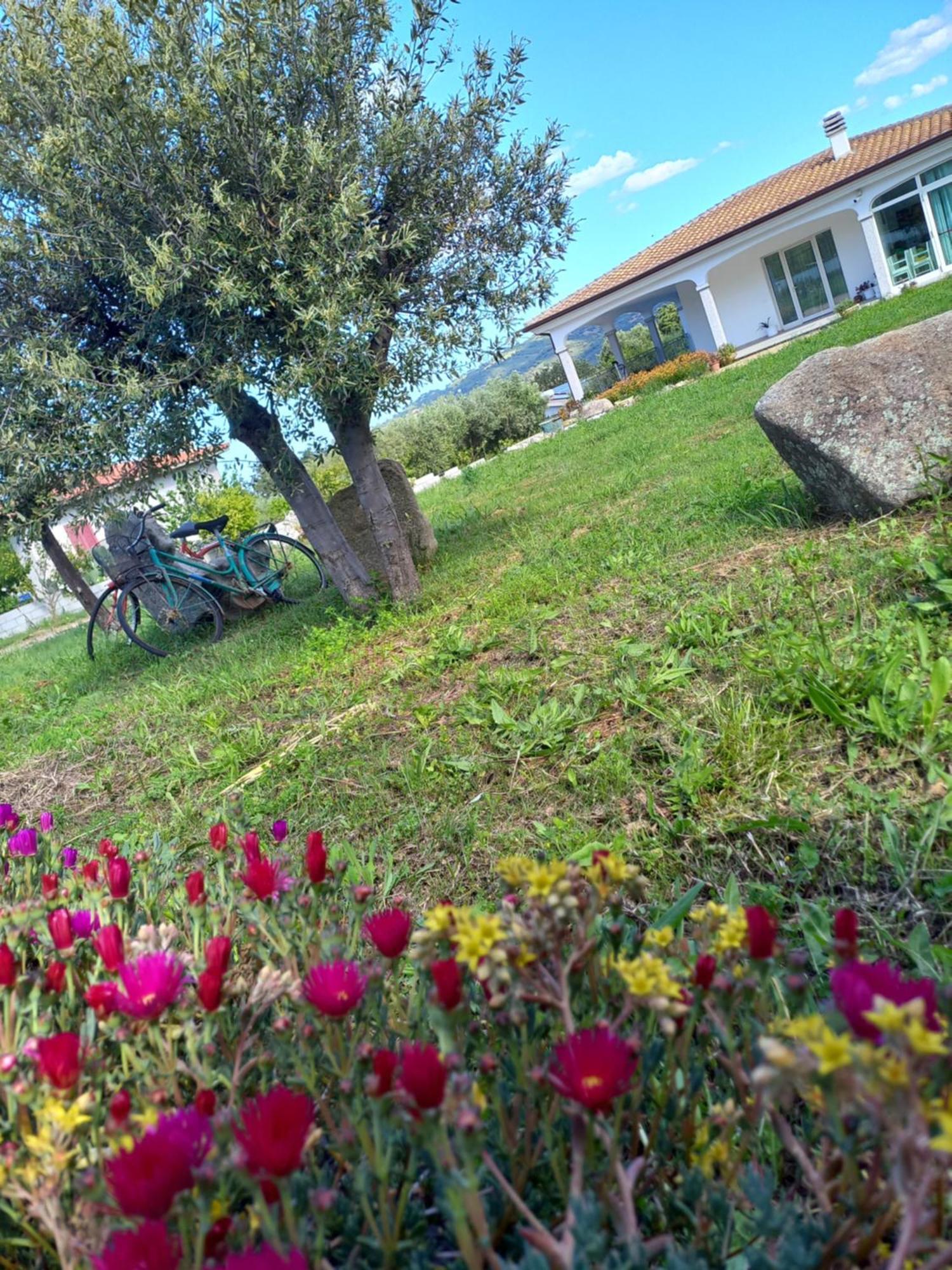 Agriturismo B&B Mares E Montes De Marrante Синискола Екстериор снимка